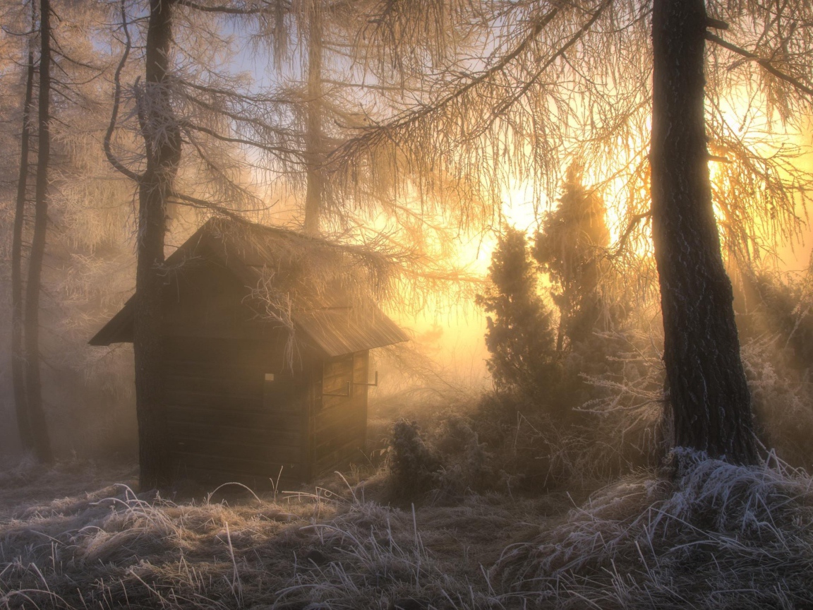 Охотничья избушка в морозном лесу