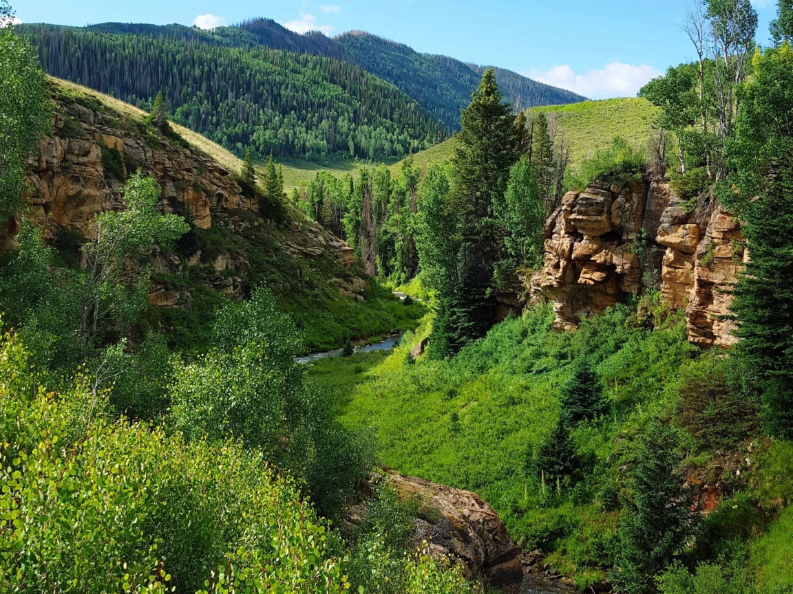 Каменные скалы среди поросших лесом холмов