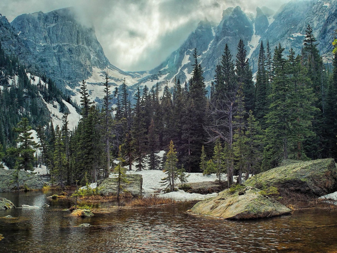 Хвойные деревья у реки в горах