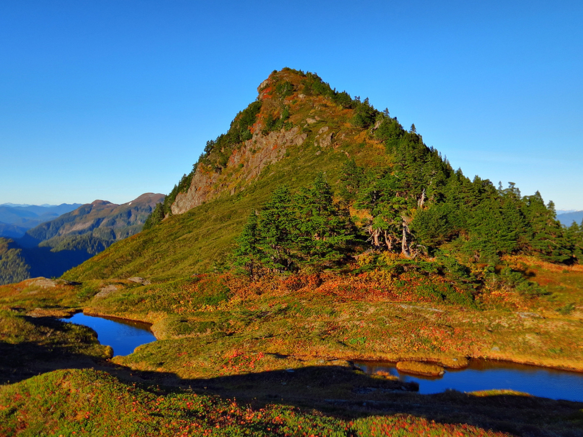 Гора заросшая деревьями