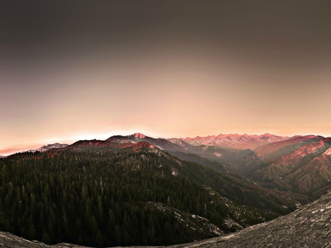 Поросшее хвойным лесом плоскогорье