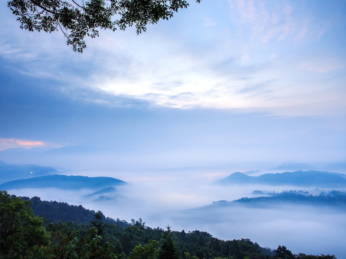Густой туман в горах