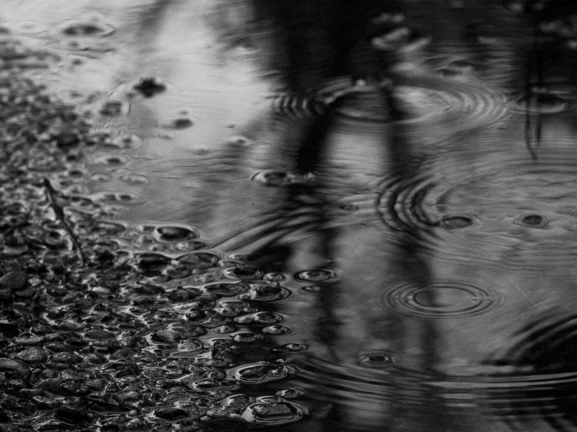 Черно белое фото лужи после дождя