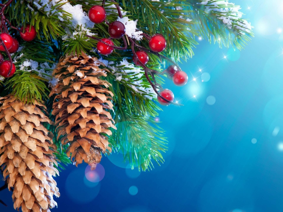 Шишки и ягоды на хвойном дереве