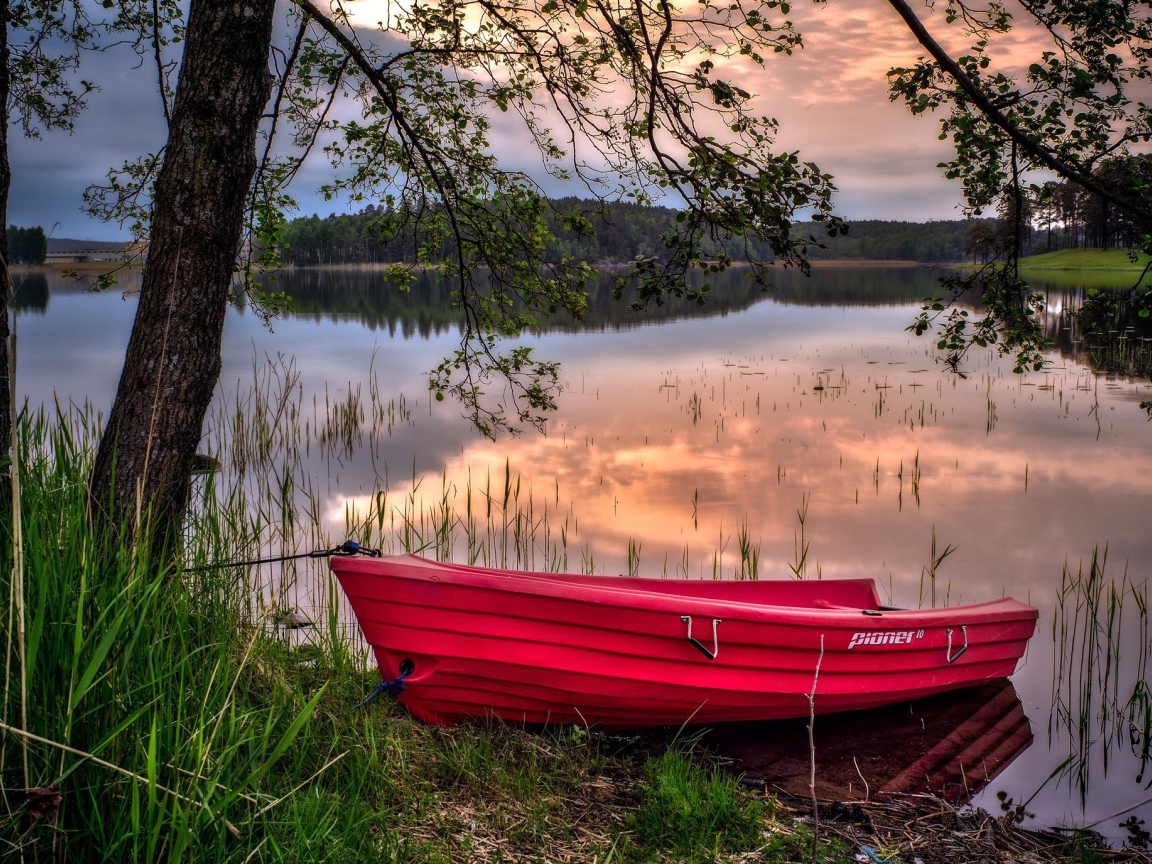 Красная лодка на берегу водоема