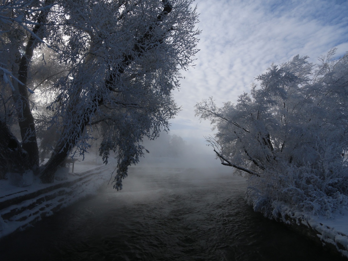 Быстрая река не замерзла зимой