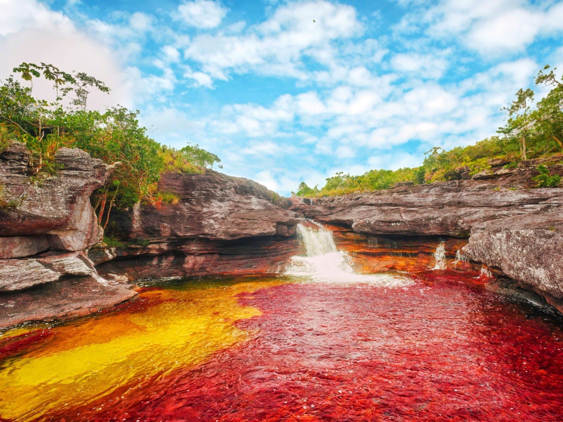 Красная и желтая вода в реке
