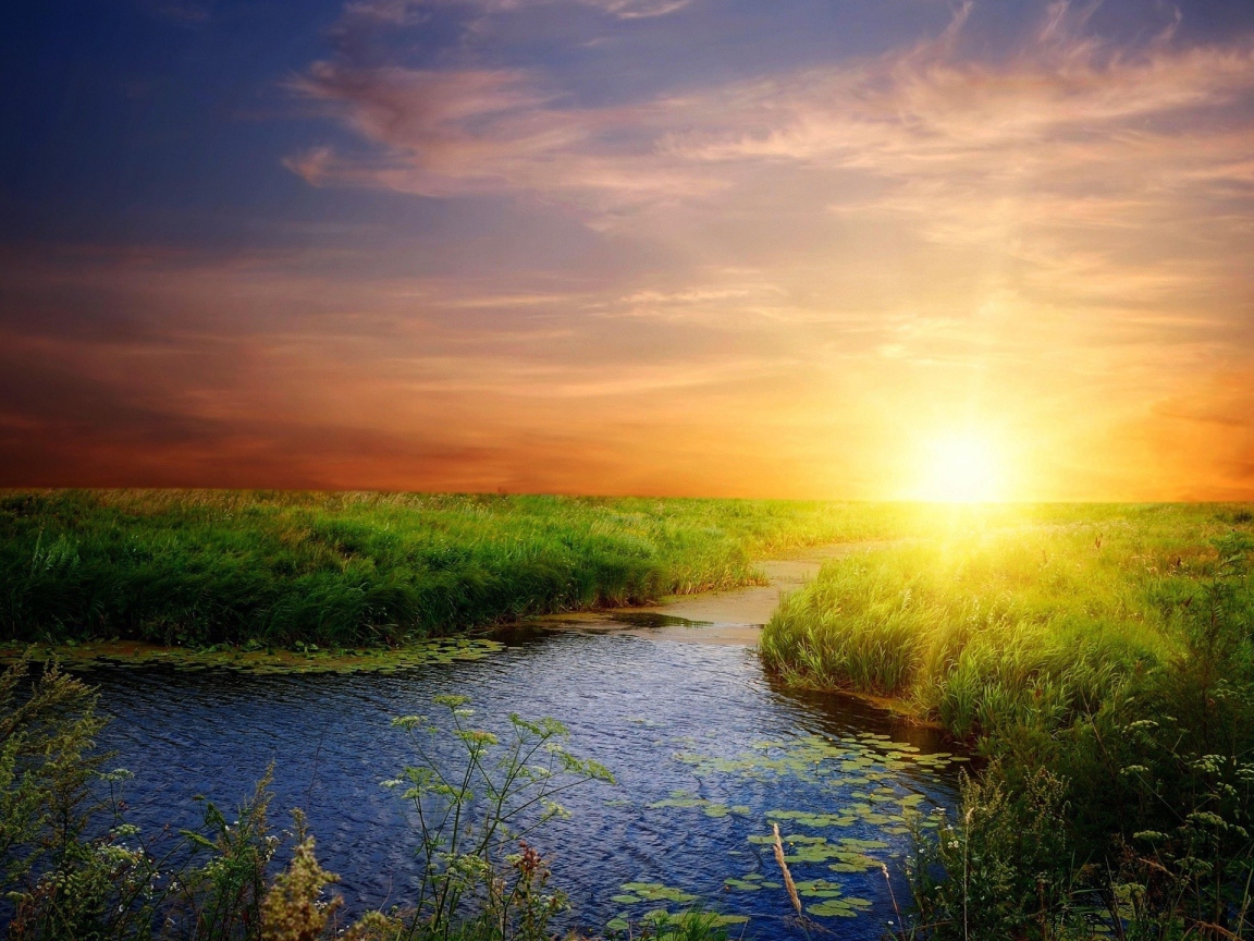 Река среди зеленой травы на закате