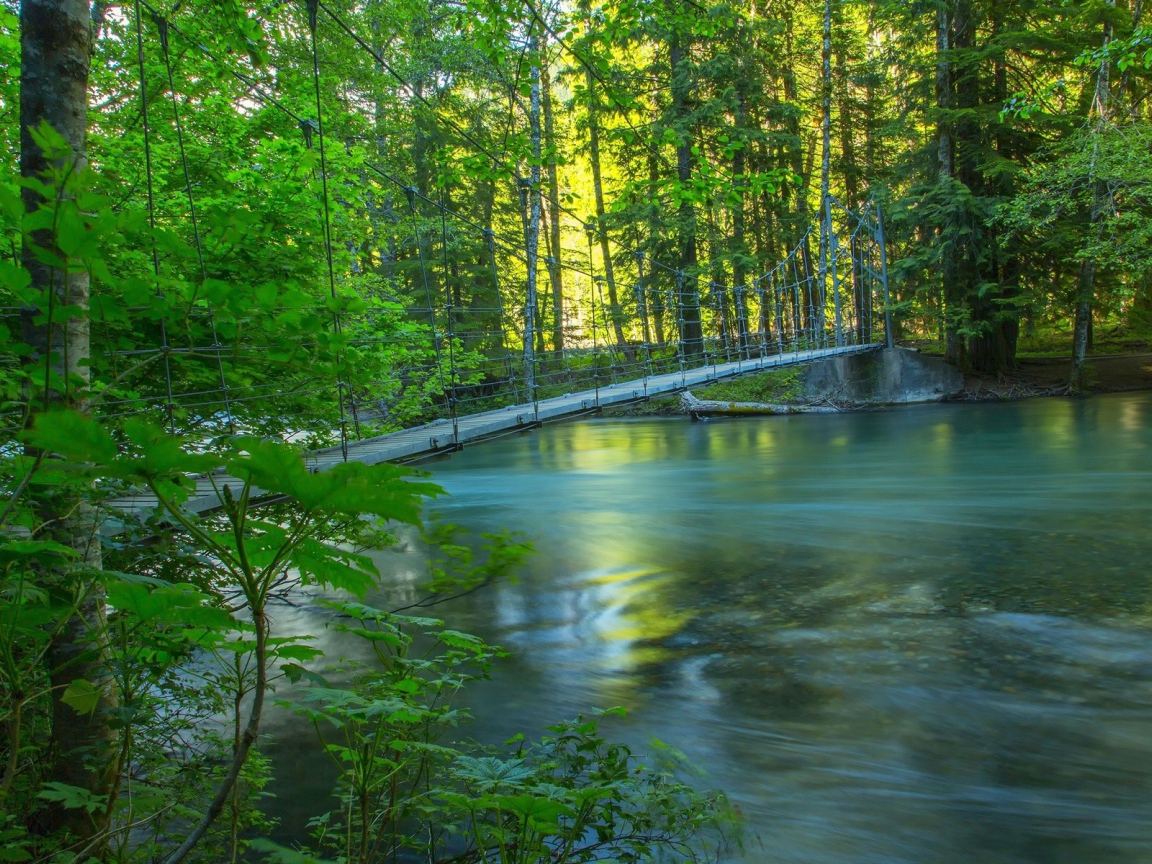 Веревочный мостик над рекой среди леса