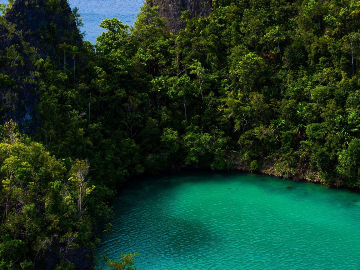 Бирюзовое озеро в тропическом лесу