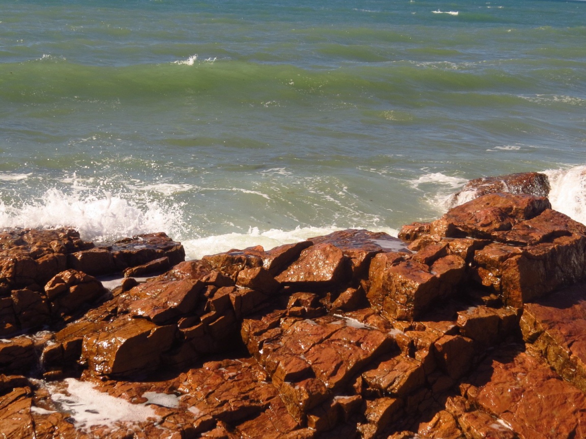 Коричневые камни на берегу моря