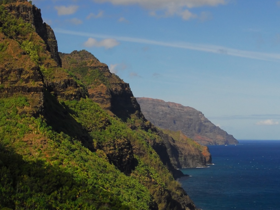 Покрытые лесом скалы над морем