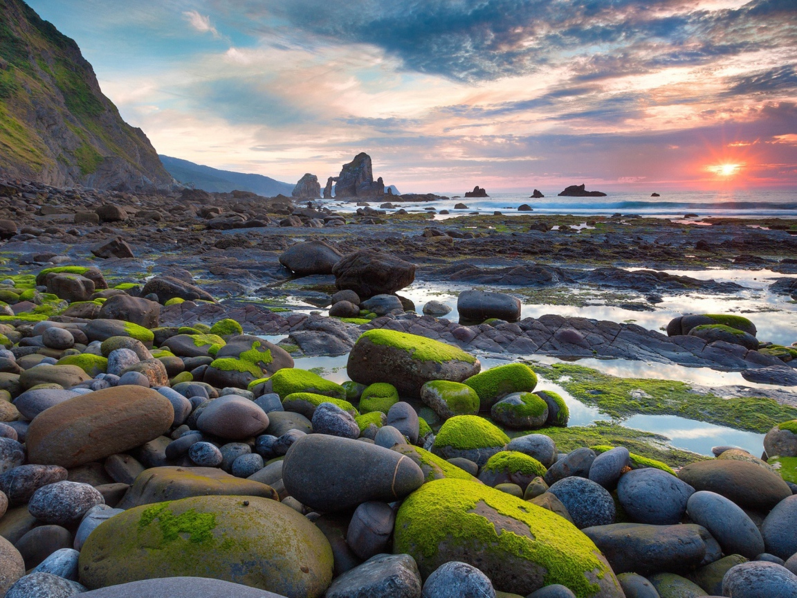 Мох на валунах у моря