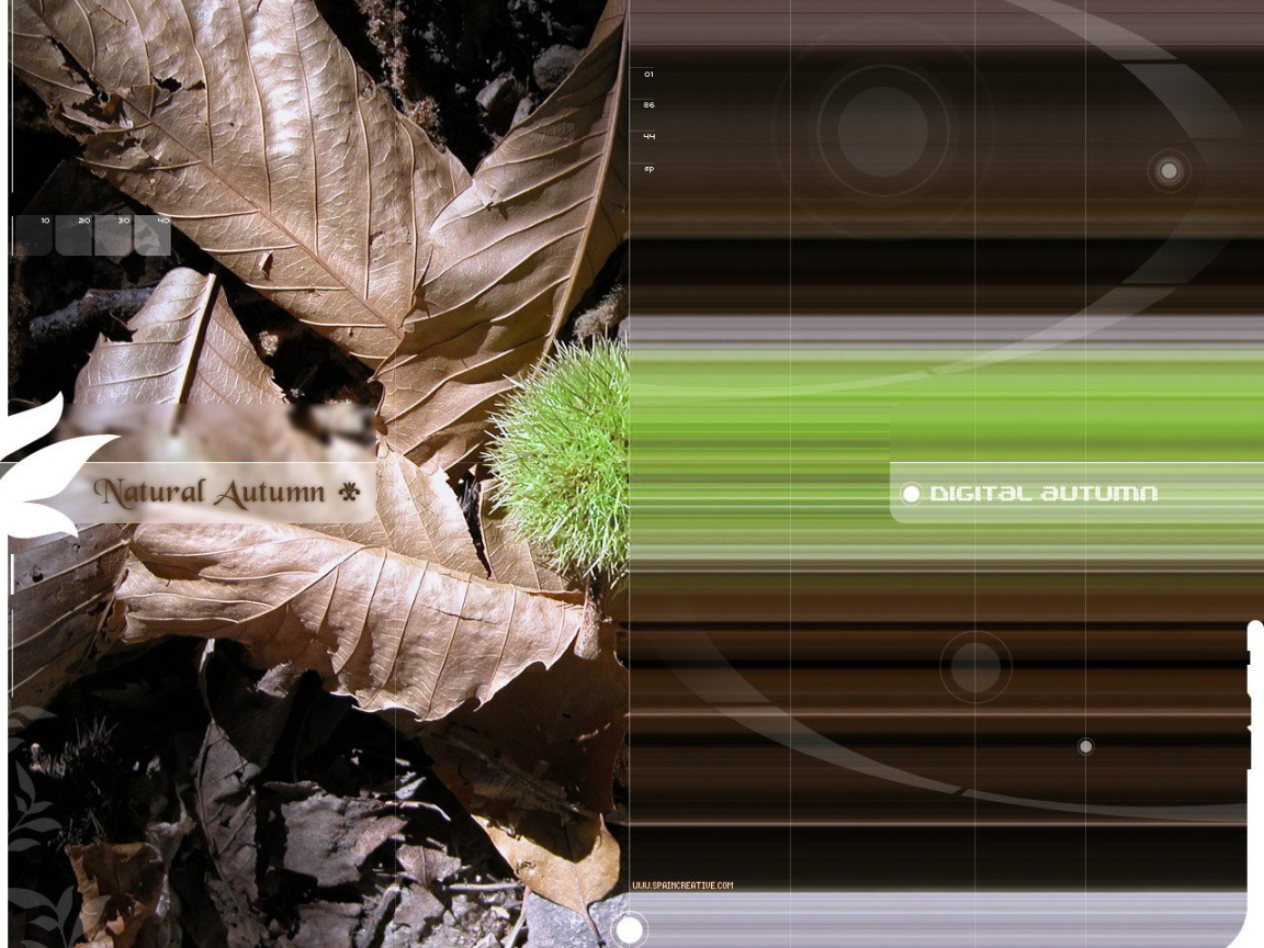 Цифровая осень