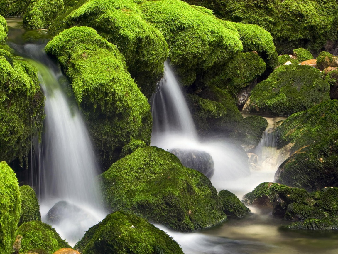 Вода стекает вниз среди поросших мхом камней