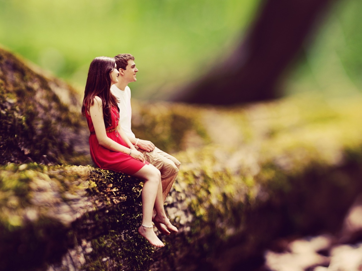 Маленькие люди на большом дереве