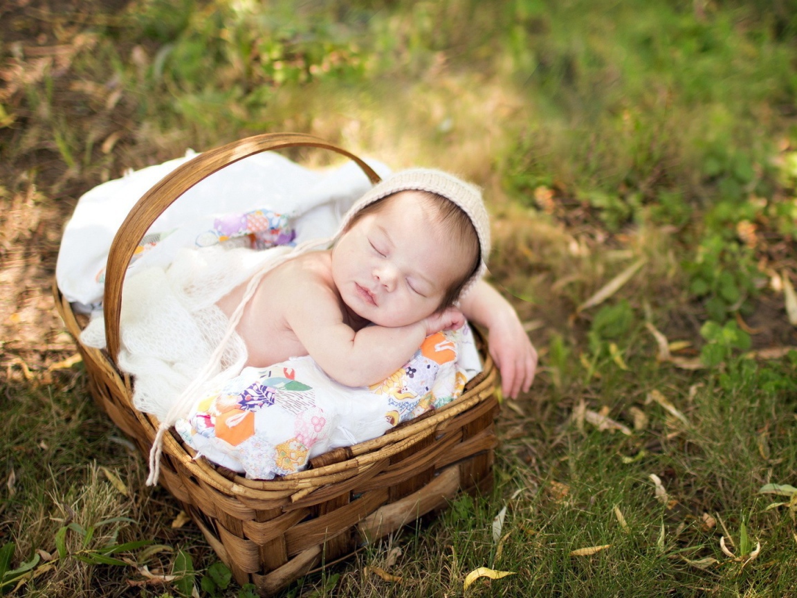 Ребенок спит в корзинке на траве