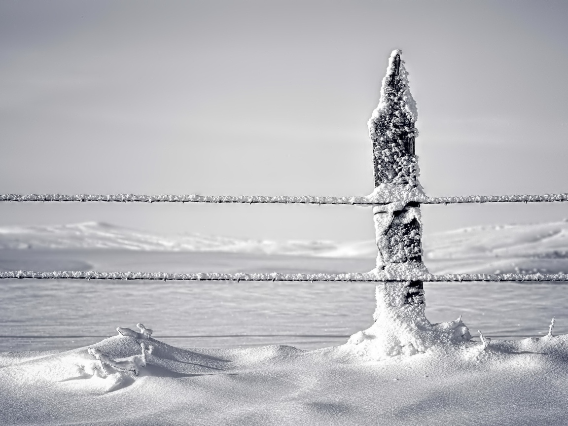 Снег налип на канатах ограждения