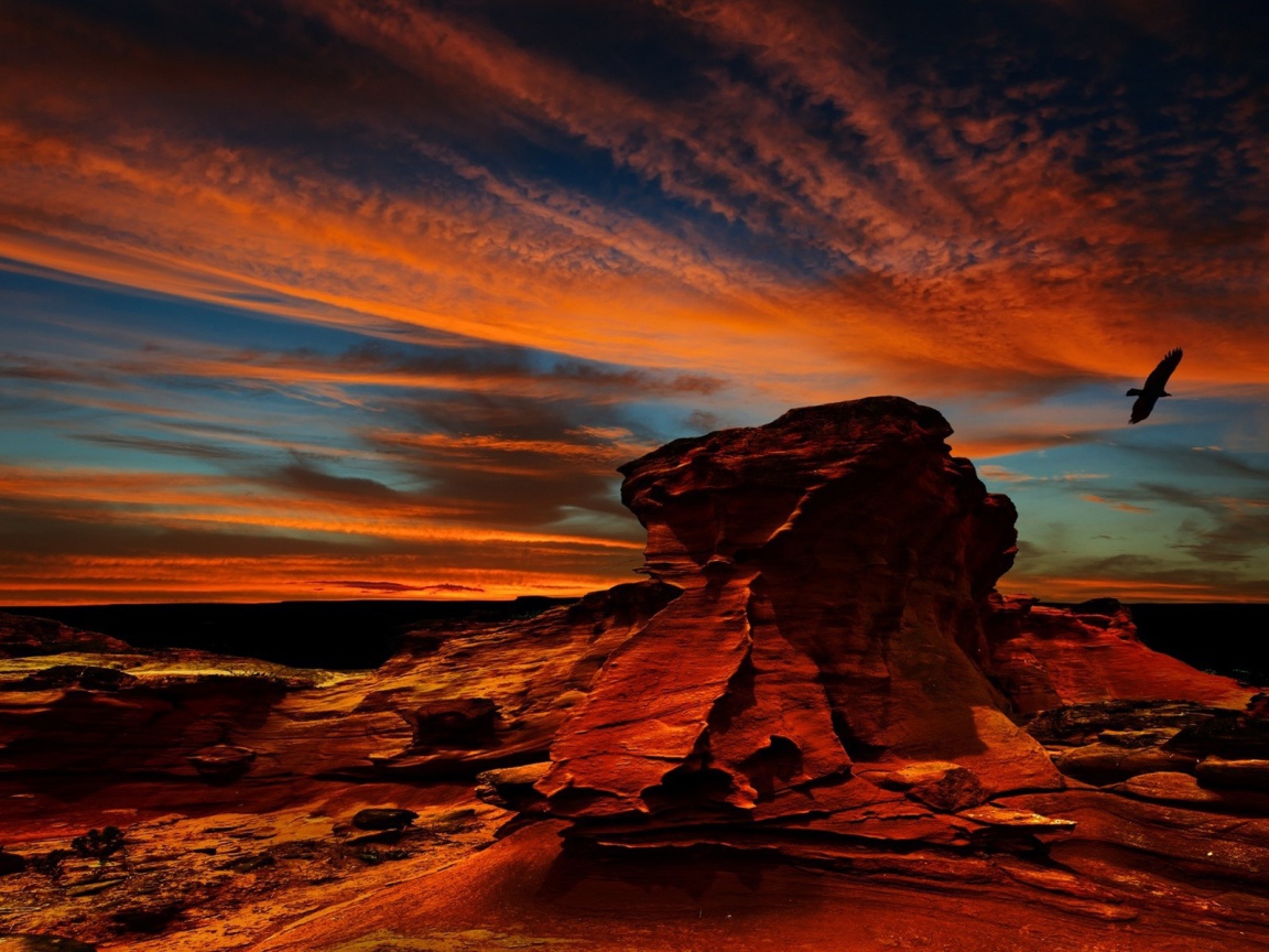 Орел над красной скалой в Чили