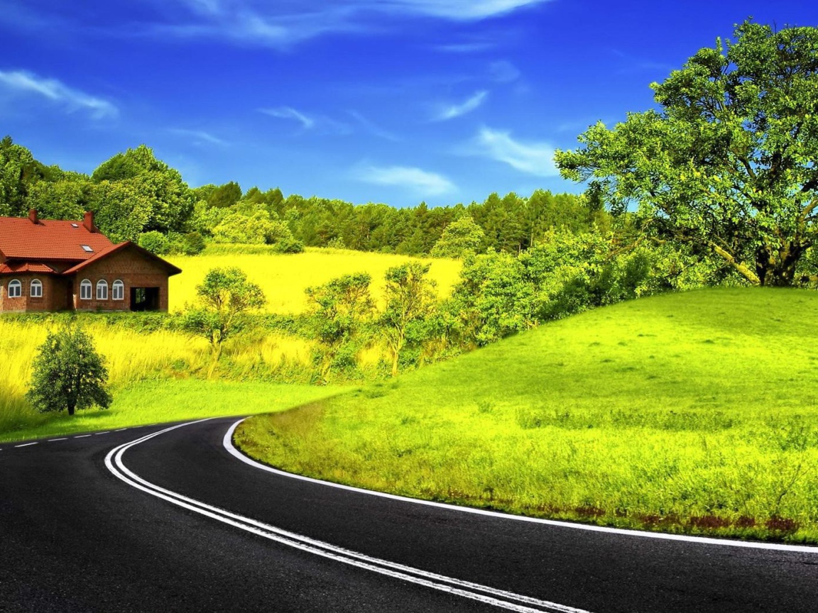 Спокойный сельский пейзаж