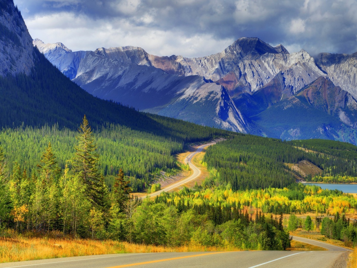 Шоссе среди горного леса в Канаде