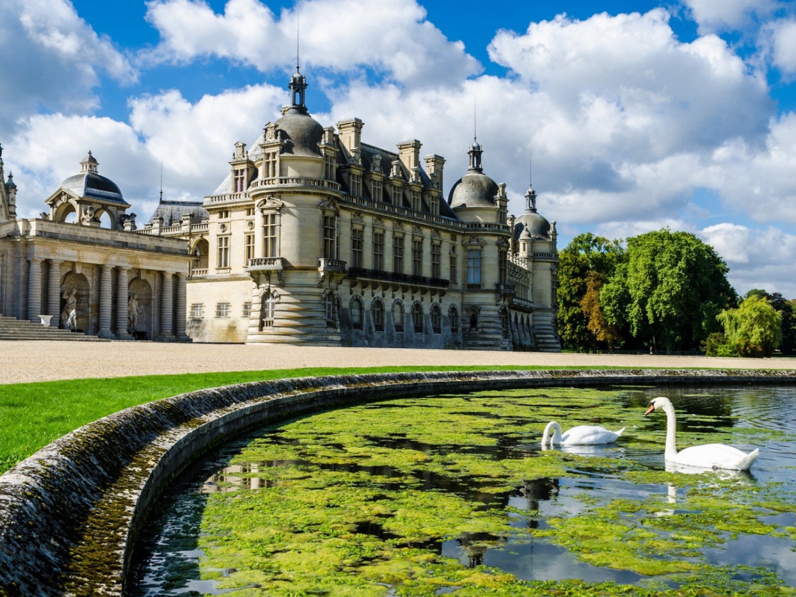 Лебеди в пруду у замка во Франции