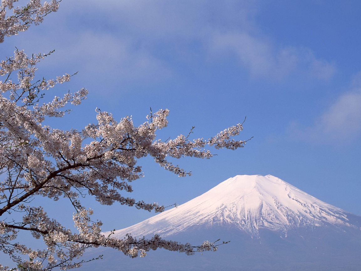 Белая вершина горы Фудзияма