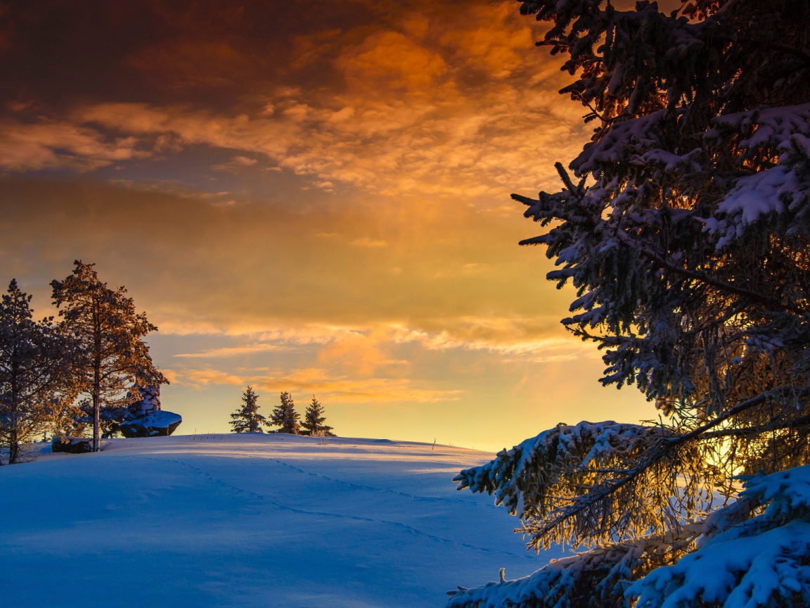 Оранжевые облака на закате в Норвегии