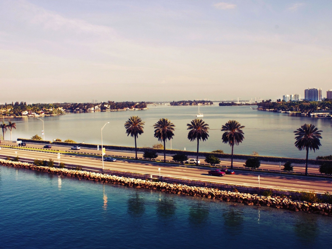 Пальмы у шоссе в Майами