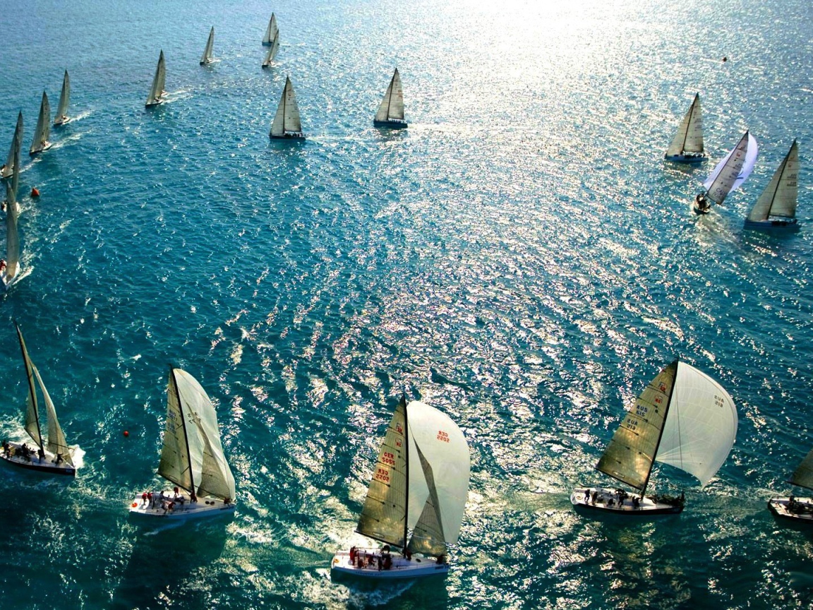 Парусные гонки во Флориде
