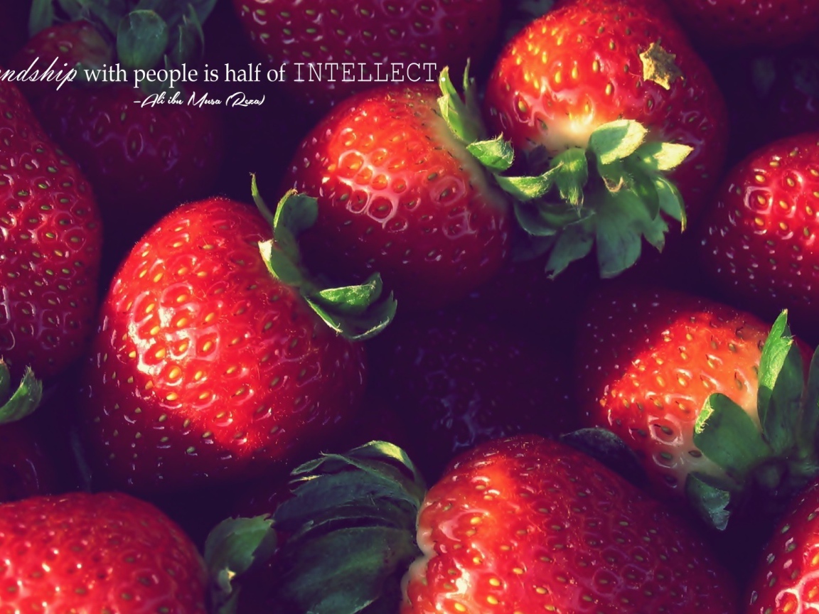 Дружелюбие, это часть интеллекта