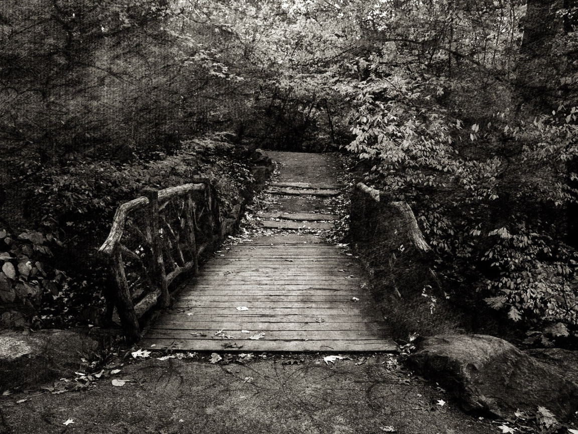 Эффект холста на черно белом фото