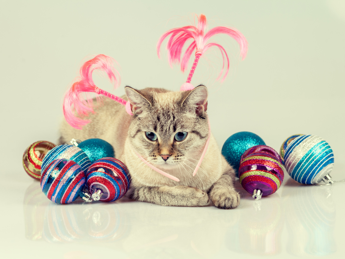 Серый кот с красивыми разноцветными новогодними шариками
