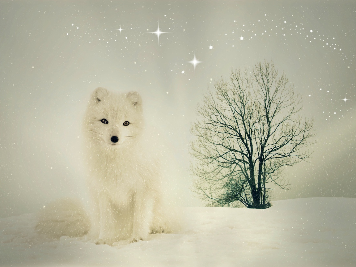 Белый песец сидит на снегу у сухого дерева