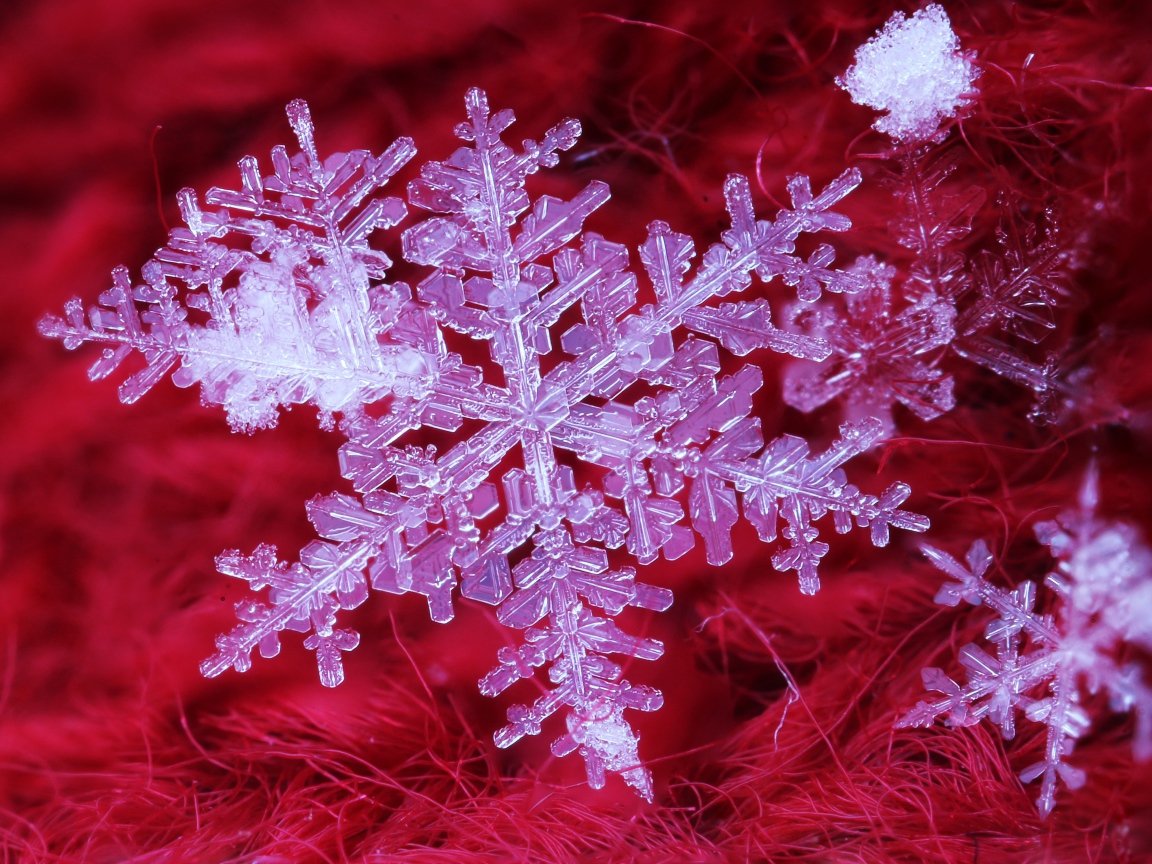 Beautiful white snowflake on a red background, macro shot