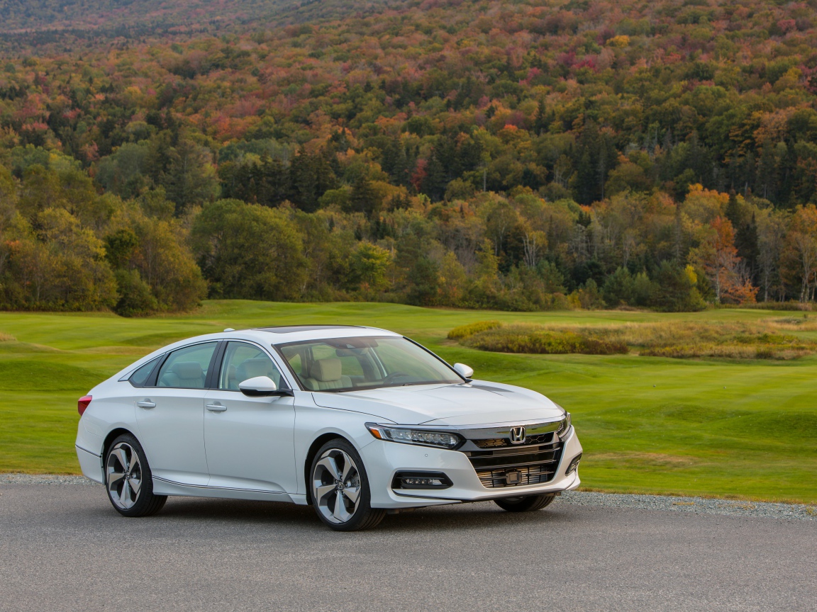 Белый автомобиль Honda Accord на фоне леса