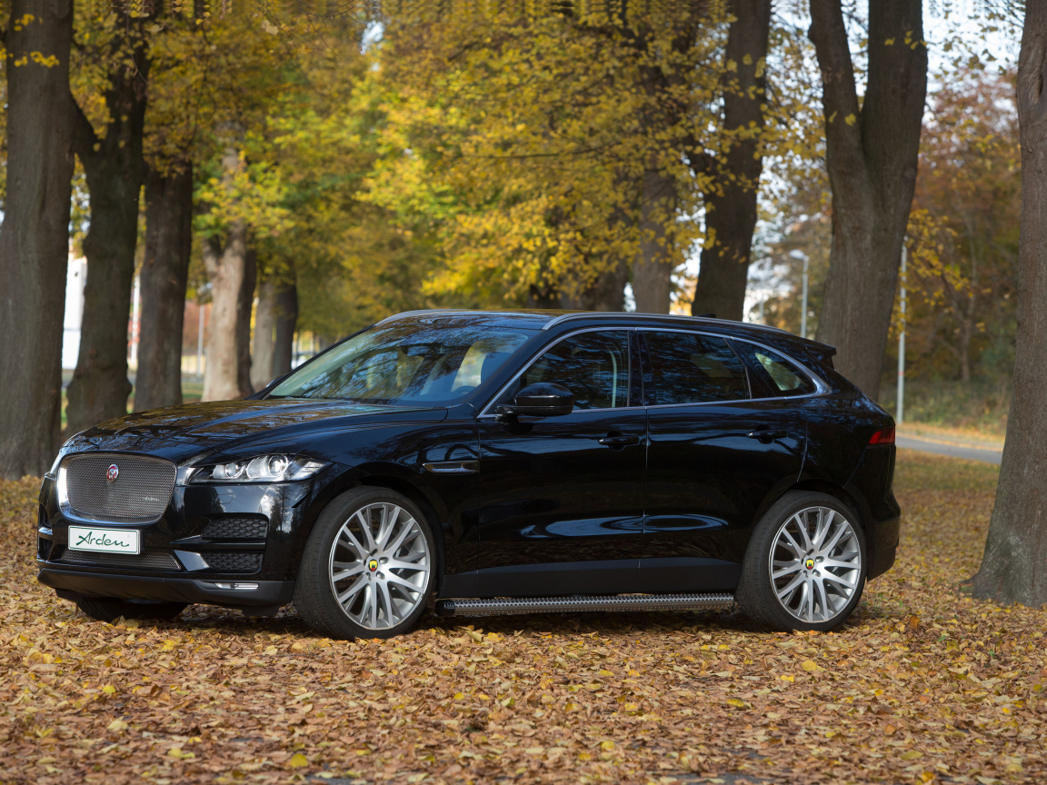 Черный автомобиль  Jaguar F-PACE стоит в парке