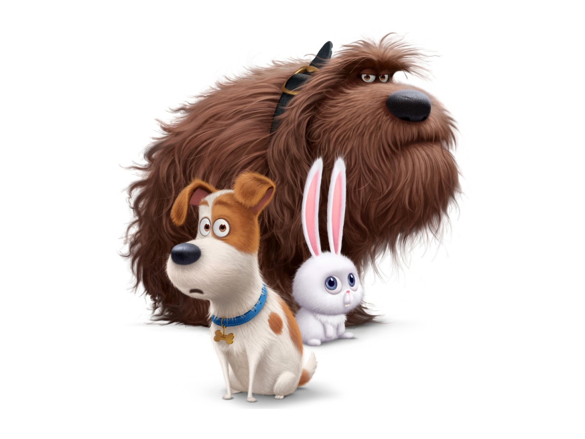 Макс, Дюк, Снежок персонажи мультфильма Секретная жизнь домашних животных 