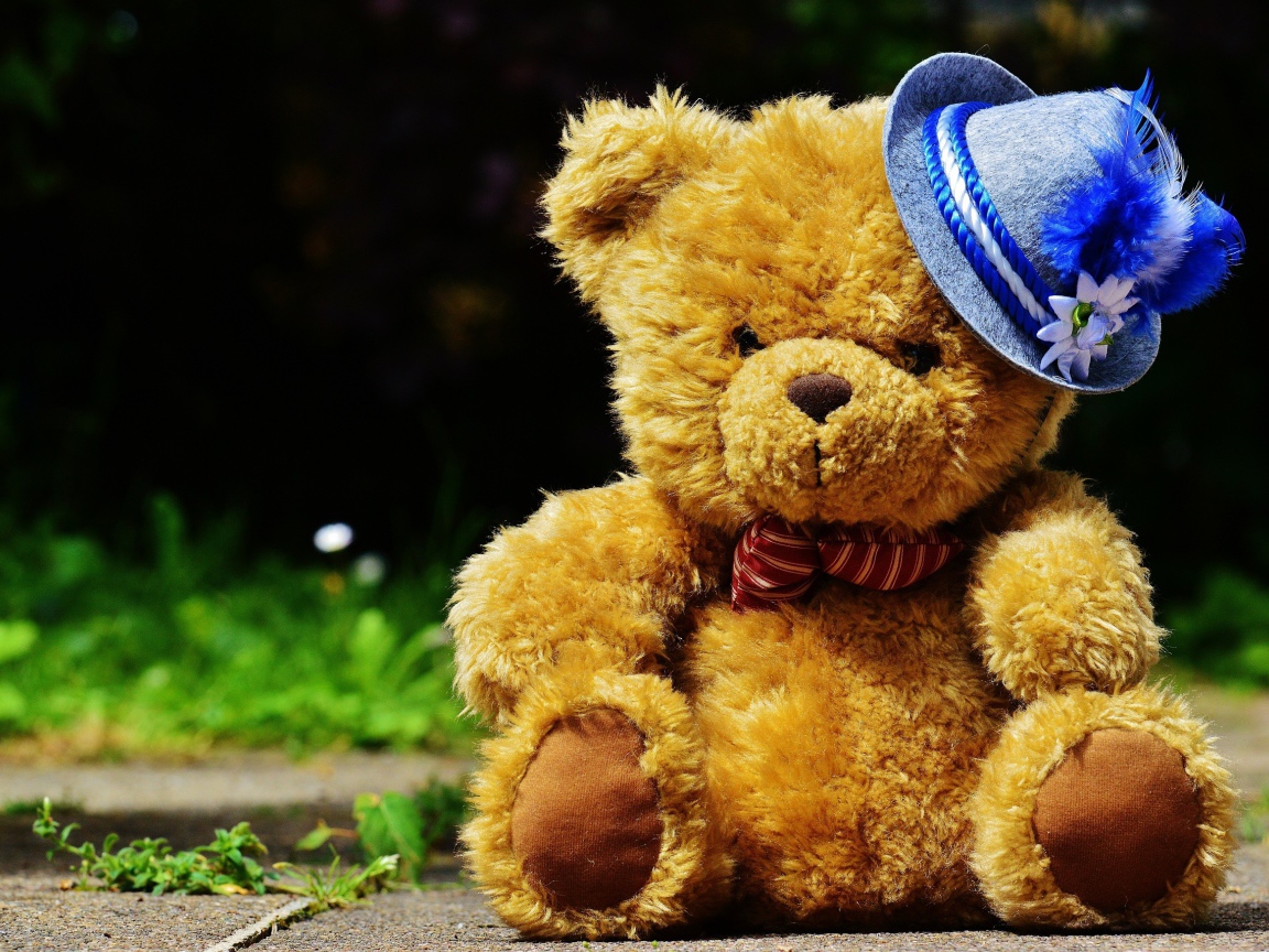 Плюшевый медведь в шляпке сидит на дороге