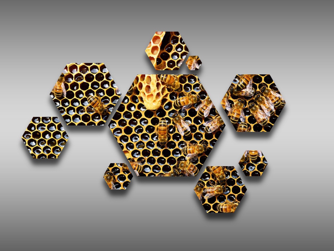 Шестиугольные соты с пчелами на сером фоне  