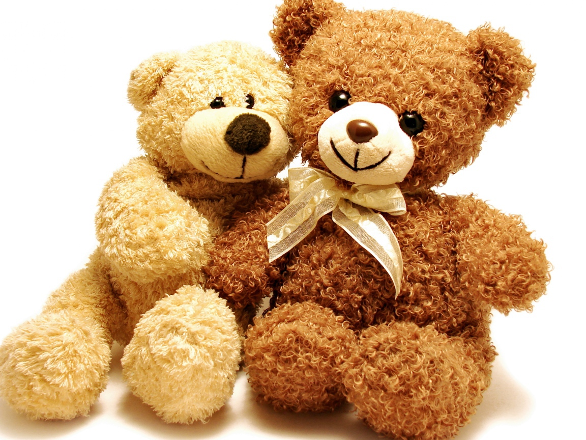 Два плюшевых медвежонка на белом фоне