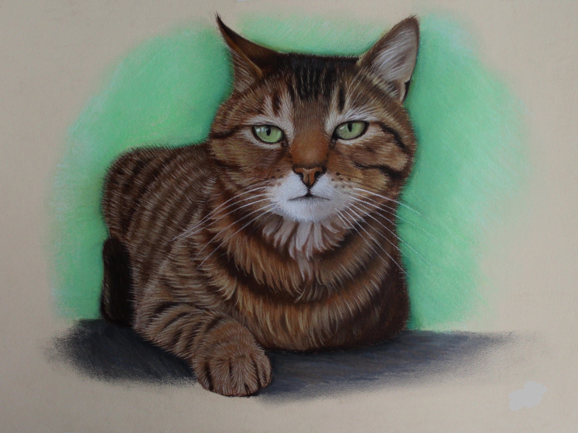 Нарисованный зеленоглазый кот