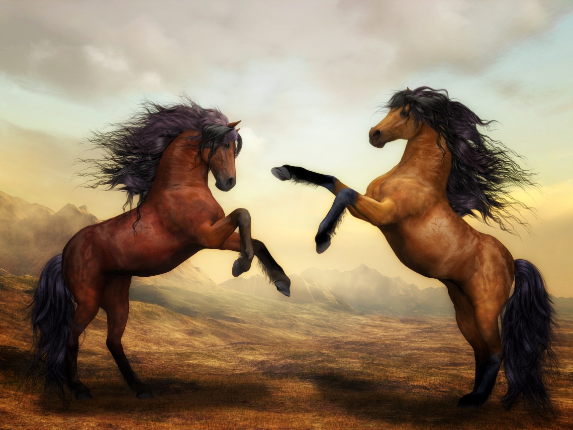 Две красивые нарисованные лошади