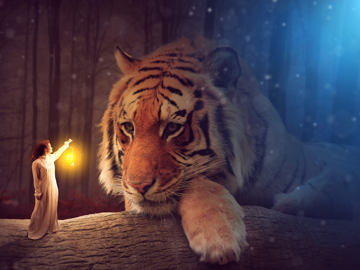 Девушка с фонарем освещает большого тигра