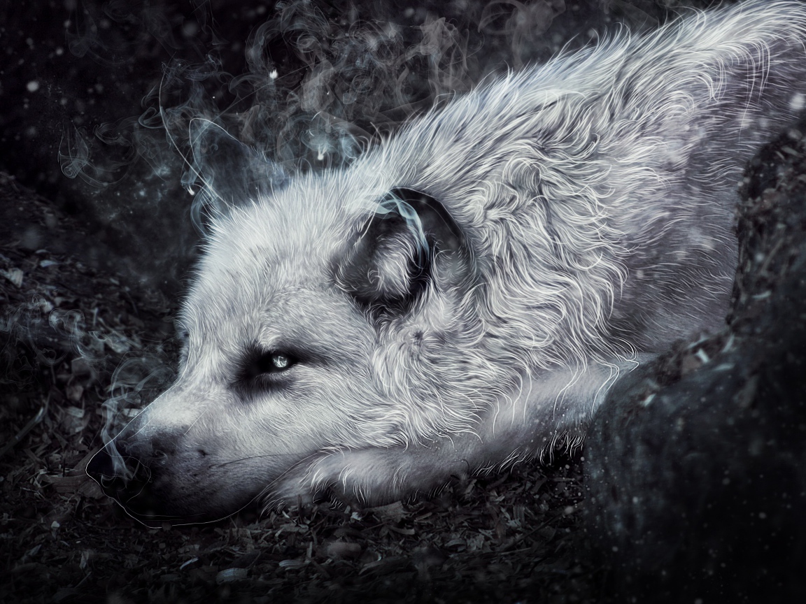 Фантастический волк лежит на земле