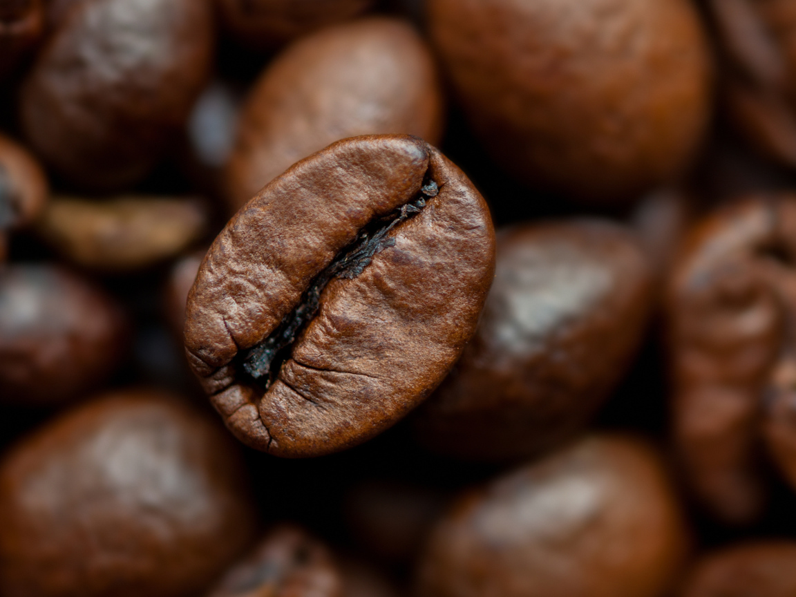 Кофейное зерно крупным планом