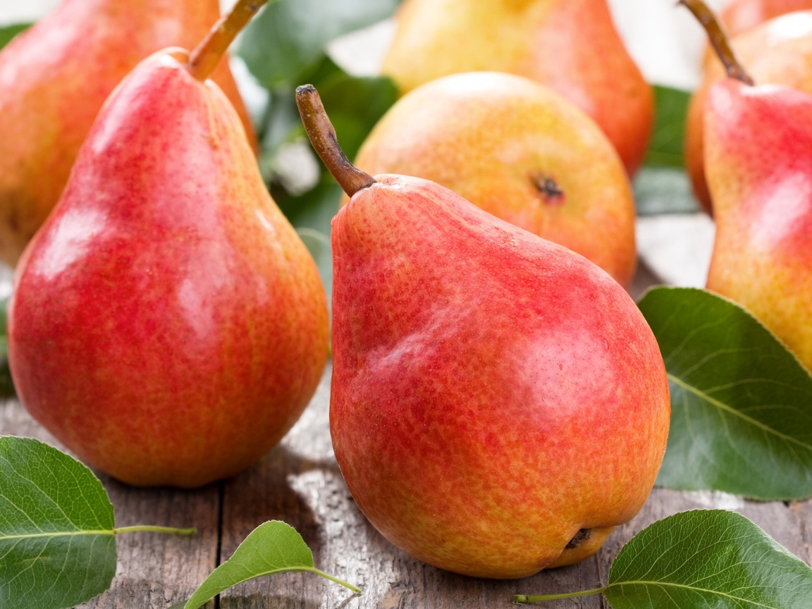 Зрелые аппетитные красные груши