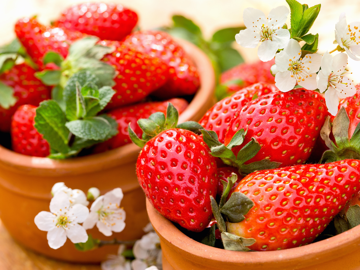 Красные ягоды спелой сочной клубники 