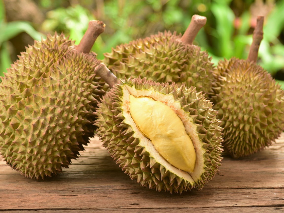 Необычный экзотический фрукт дуриан