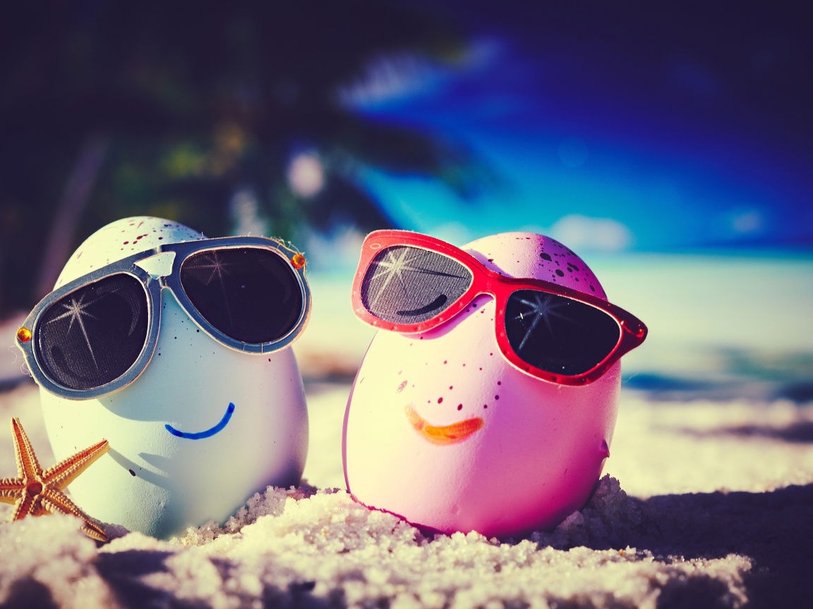 Два прикольных яйца в солнечных очках на пляже